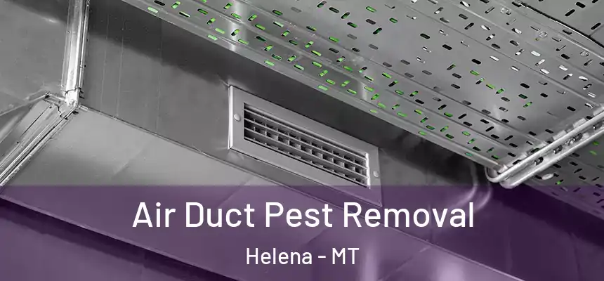  Air Duct Pest Removal Helena - MT
