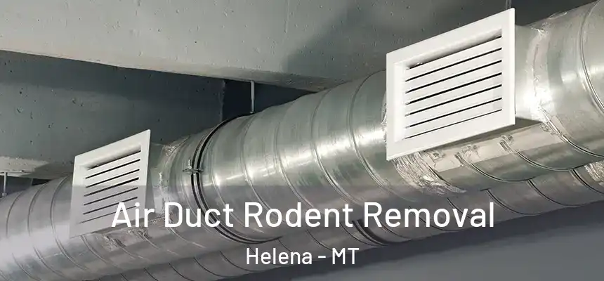 Air Duct Rodent Removal Helena - MT