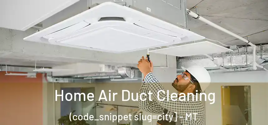  Home Air Duct Cleaning (code_snippet slug=city] - MT