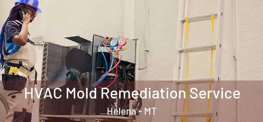  HVAC Mold Remediation Service Helena - MT