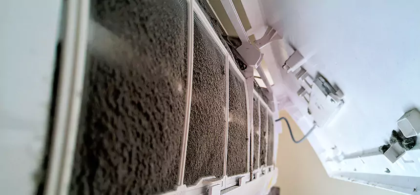 Preventive Air Duct Bacteria Removal in Helena