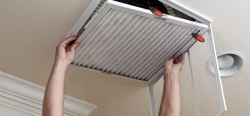 Preventive Cockroach-Proofing for Ducts in Helena