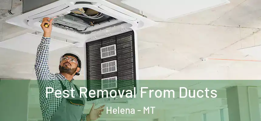  Pest Removal From Ducts Helena - MT
