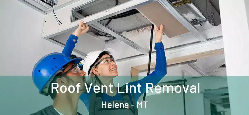 Roof Vent Lint Removal Helena - MT