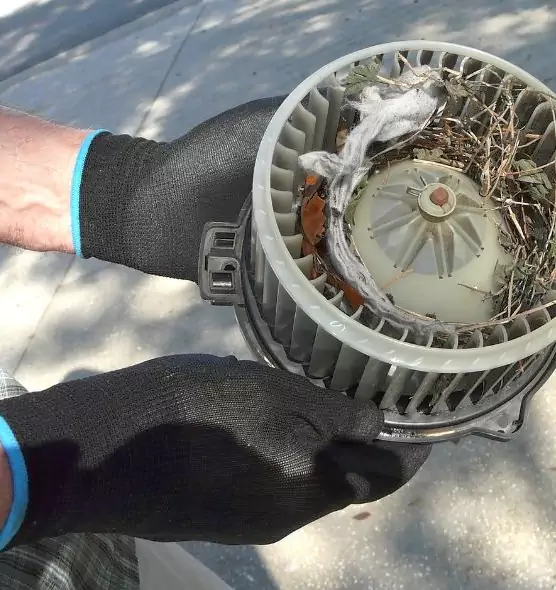 About Air Duct Mice Removal in Helena, MT