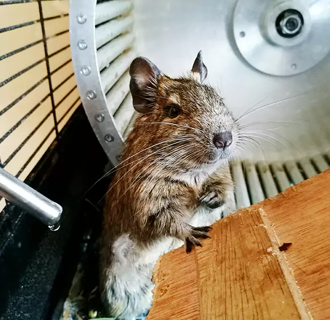 Why Homeowners & Businesses Trust Us Helena, MT?