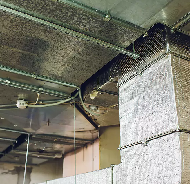 Why Homeowners & Businesses Trust Us in Helena, MT?